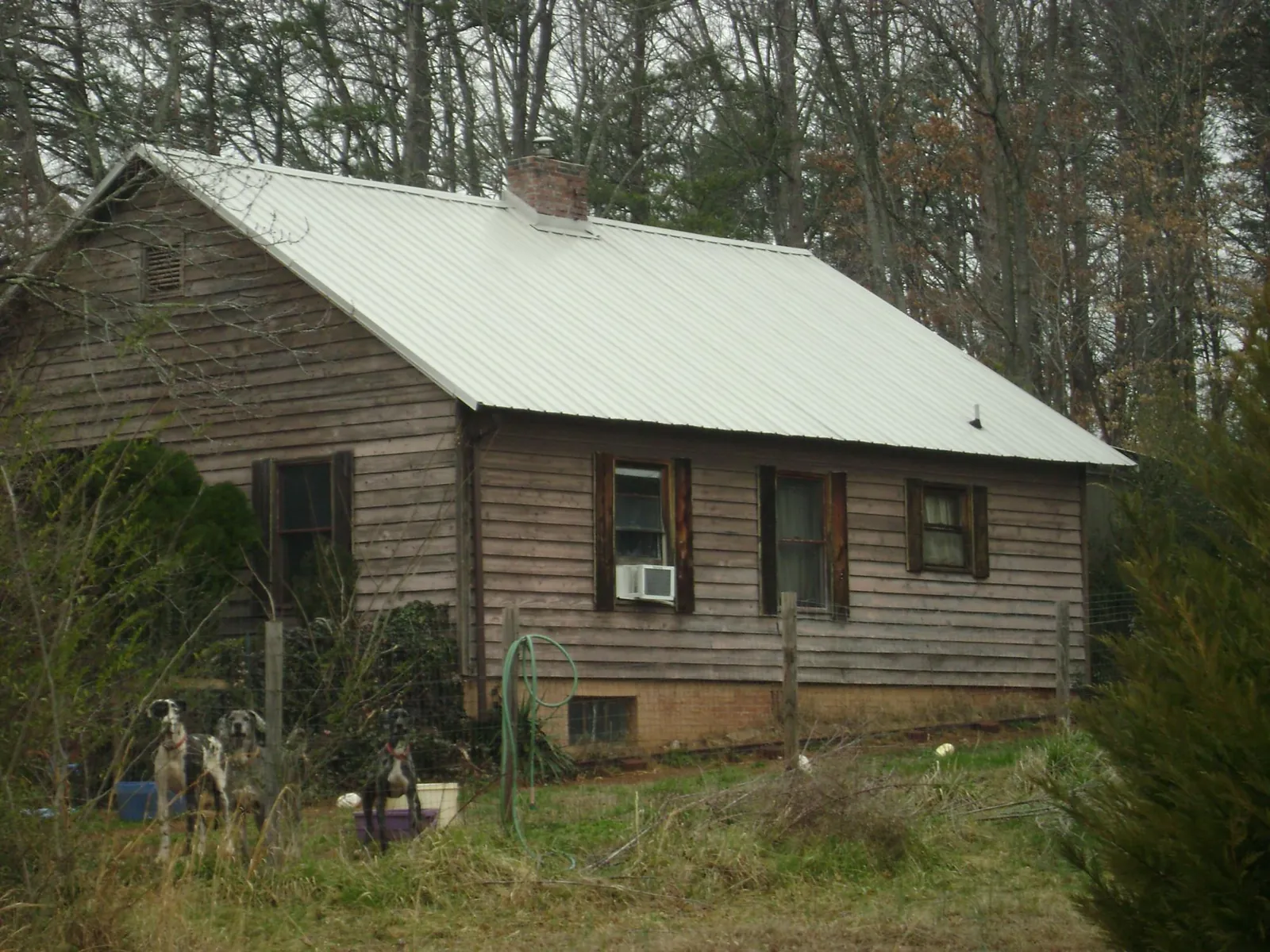 White metal roof on an old wood sided farmhouse, from a Asphalt Shingle Roof Repair job in Orcas